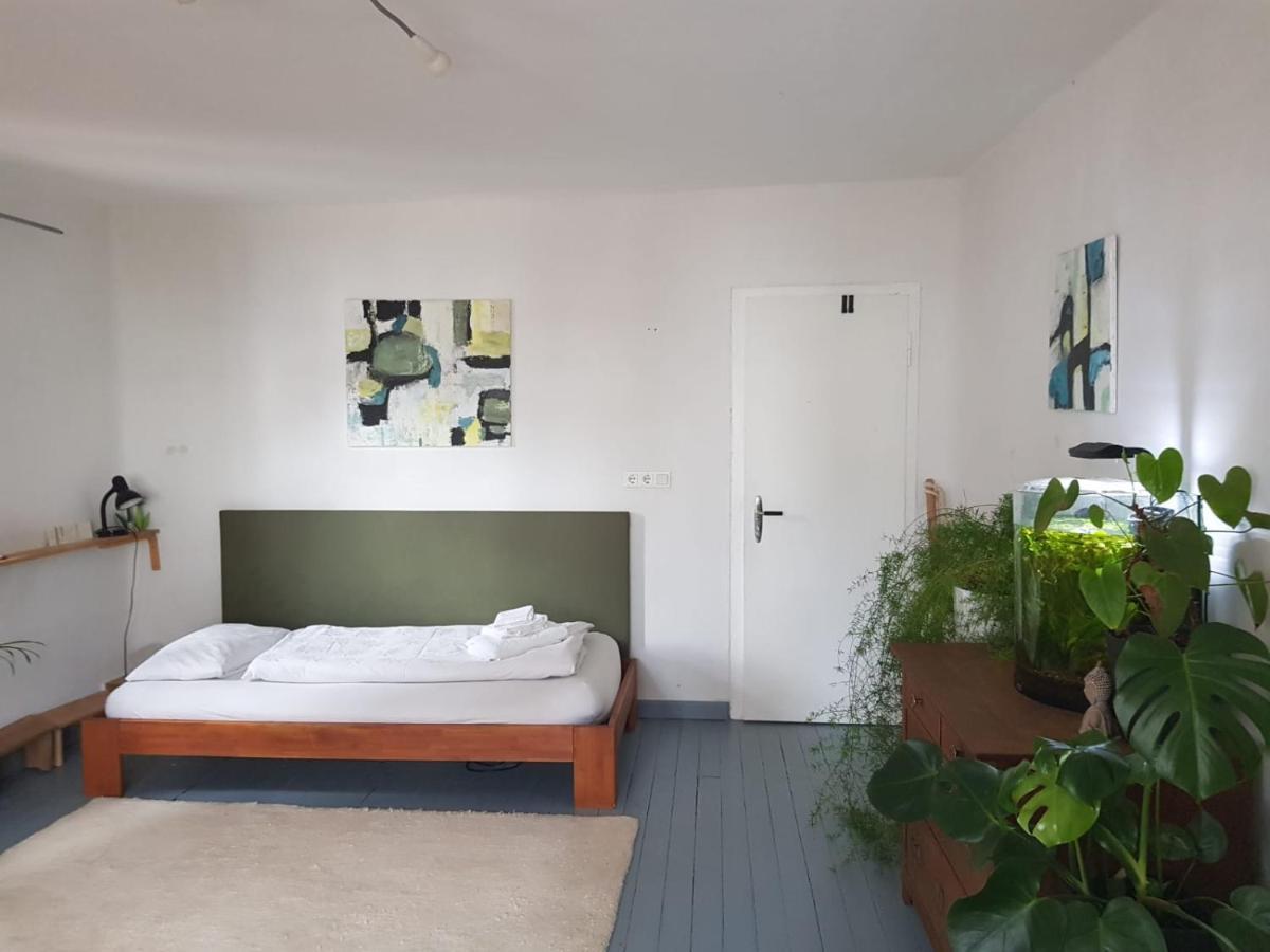 Aeltestes Haus In Quentel - Ferienwohnung 2 Mit Dachterrasse Lichtenau Eksteriør billede
