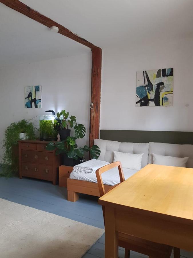 Aeltestes Haus In Quentel - Ferienwohnung 2 Mit Dachterrasse Lichtenau Eksteriør billede