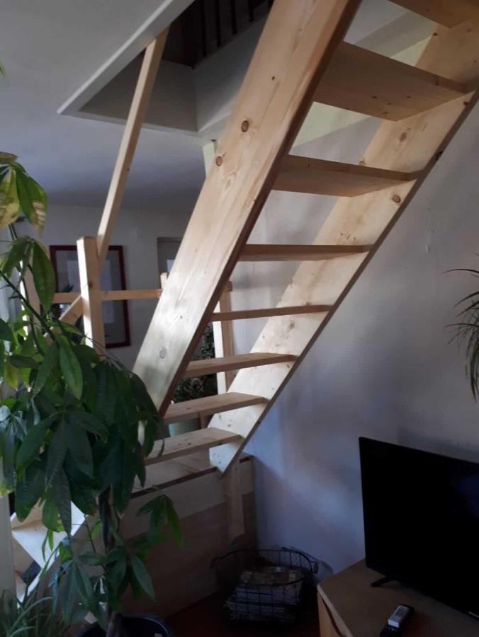 Aeltestes Haus In Quentel - Ferienwohnung 2 Mit Dachterrasse Lichtenau Eksteriør billede